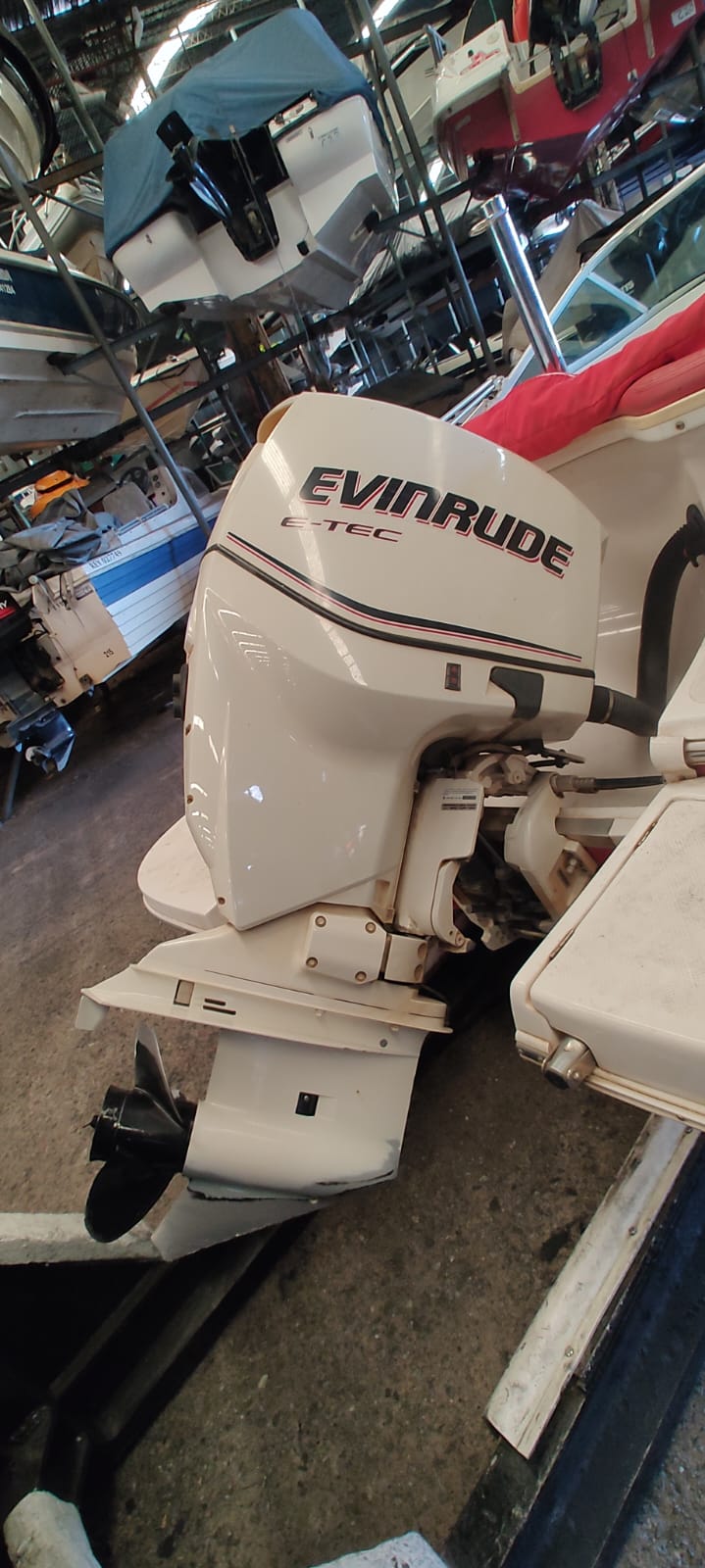 Arco Iris 20 2011 Evinrude e-tec 150 hp 